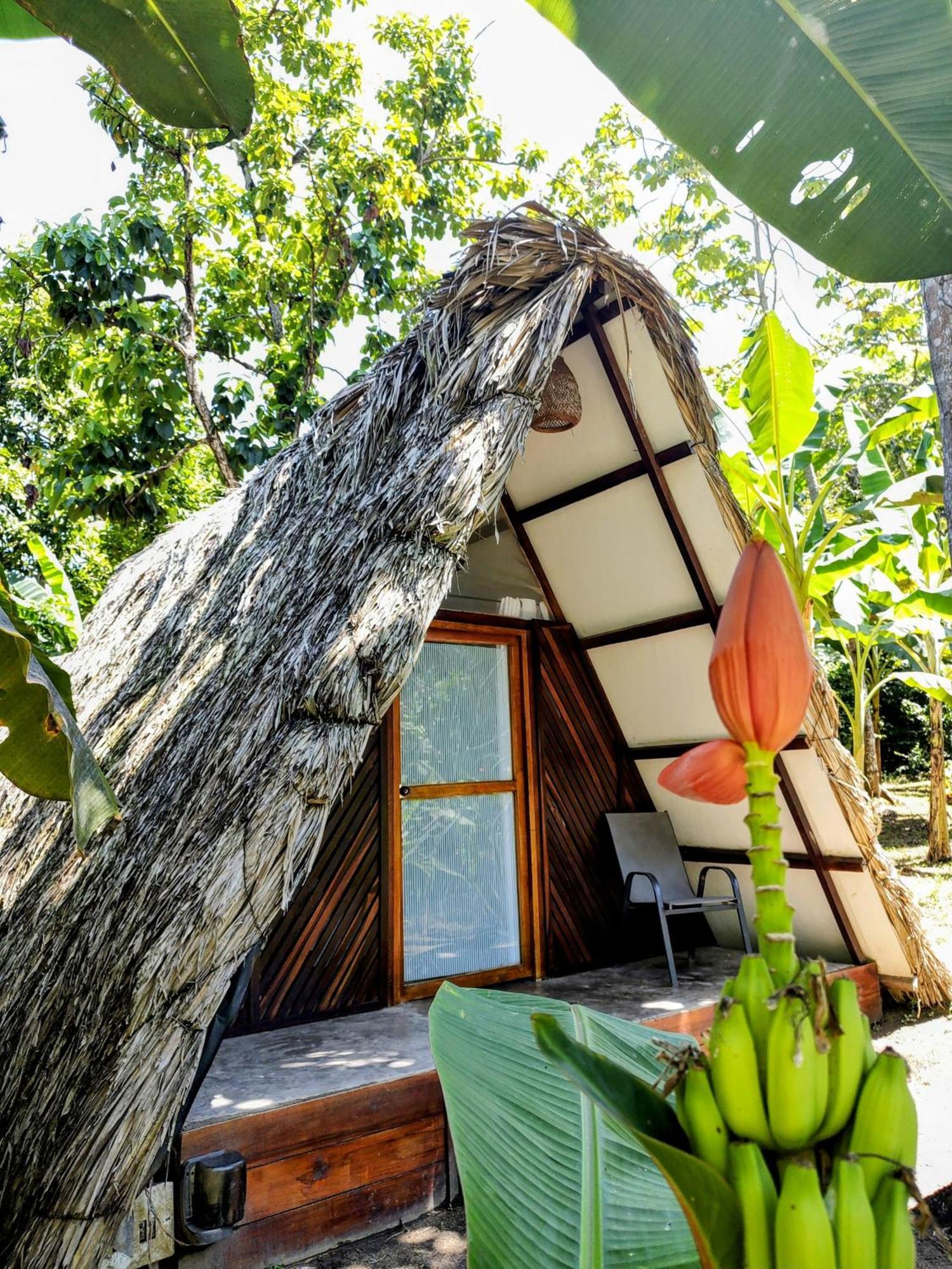 Hotel Jasayma Dentro Del Parque Tayrona El Zaino Esterno foto